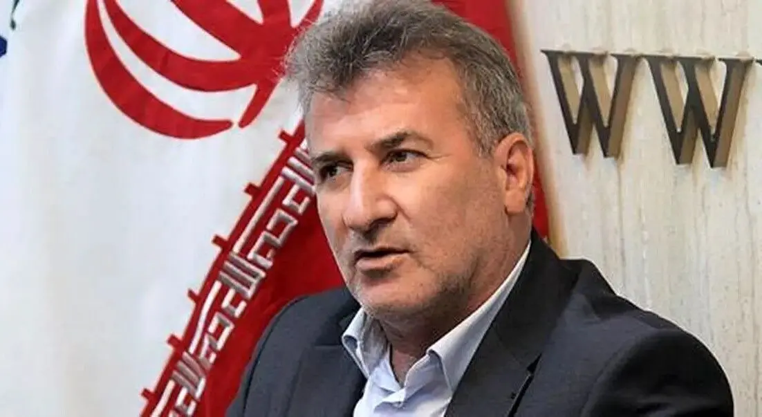 گیوتین بوروکراسی در گمرک و بازارگاه واردکنندگان را فراری داده است