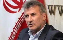 گیوتین بوروکراسی در گمرک و بازارگاه واردکنندگان را فراری داده است