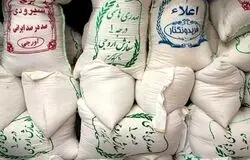 بخشی از برنج شمال وارد بازار نشد؛ قیمت طارم ایرانی ۱۴۵ هزار تومان