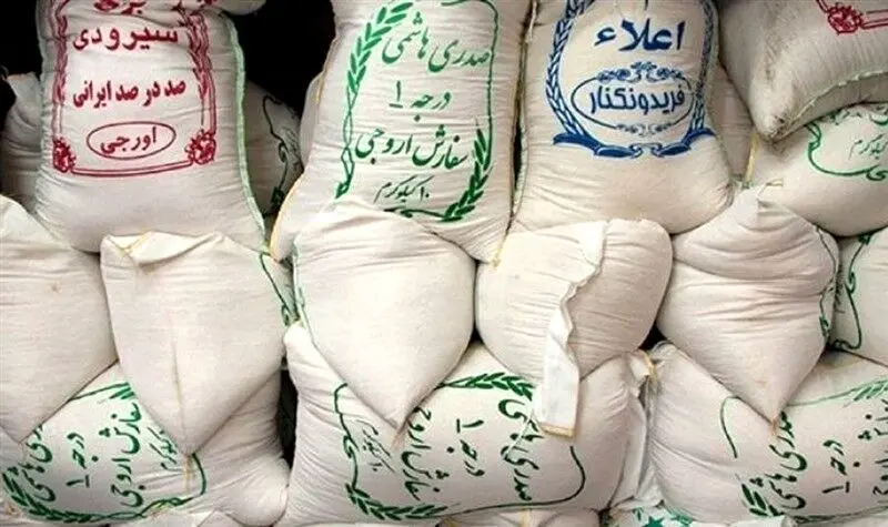 بخشی از برنج شمال وارد بازار نشد؛ قیمت طارم ایرانی ۱۴۵ هزار تومان