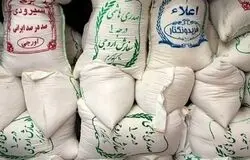 بخشی از برنج شمال وارد بازار نشد؛ قیمت طارم ایرانی ۱۴۵ هزار تومان