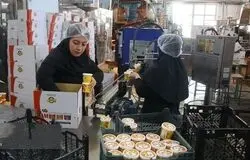 حمایت اتاق تعاون تهران از تشکیل تعاونی‌های تولیدی و خدماتی برای تقویت اقتصاد مردمی