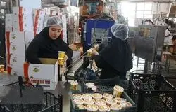 حمایت اتاق تعاون تهران از تشکیل تعاونی‌های تولیدی و خدماتی برای تقویت اقتصاد مردمی