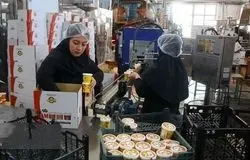حمایت اتاق تعاون تهران از تشکیل تعاونی‌های تولیدی و خدماتی برای تقویت اقتصاد مردمی