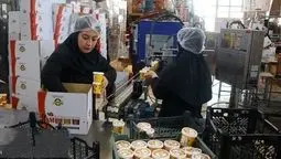 حمایت اتاق تعاون تهران از تشکیل تعاونی‌های تولیدی و خدماتی برای تقویت اقتصاد مردمی