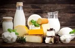 ثبات بازار لبنیات در دوران بحران جنگ12روزه / تشکیل کمیته‌ بحران برای مقابله با چالش‌های احتمالی
