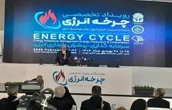 هر لیتر بنزین در ایران نیم دلار نصیب قاچاقچیان می‌کند/ لزوم اصلاح فوری ساختار انرژی