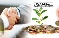 مشارکت سرمایه‌گذاران خارجی در تعاونی‌ها تسهیل می‌شود