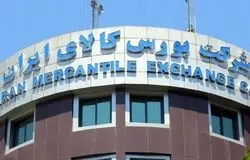 آغاز عرضه مواد اولیه صنایع پایین‌دستی پتروشیمی در بورس از هفته آینده