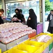 صادرات قطعات مرغ آزاد شد؛ بازار داخلی با چه سرنوشتی روبه‌رو می‌شود؟
