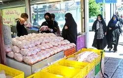 صادرات قطعات مرغ آزاد شد؛ بازار داخلی با چه سرنوشتی روبه‌رو می‌شود؟
