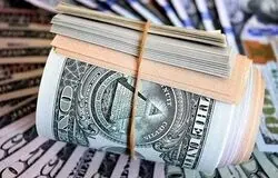 وام ارزی برای واردات کالای اساسی؛ معمای بازپرداخت در روزهای نوسان ارز