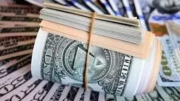 وام ارزی برای واردات کالای اساسی؛ معمای بازپرداخت در روزهای نوسان ارز