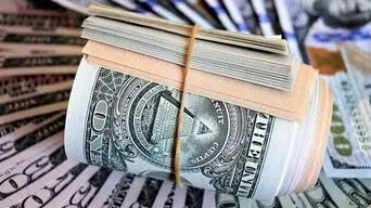 وام ارزی برای واردات کالای اساسی؛ معمای بازپرداخت در روزهای نوسان ارز