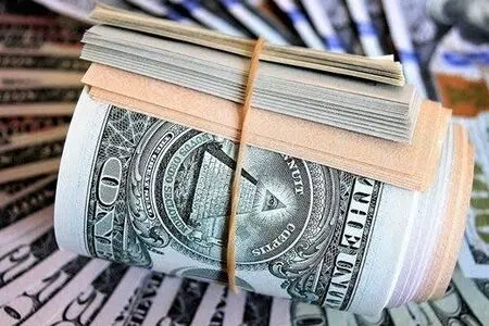 وام ارزی برای واردات کالای اساسی؛ معمای بازپرداخت در روزهای نوسان ارز