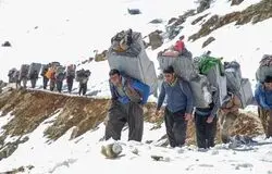 واردات کولبری به ۳۹۶ میلیون دلار رسید؛ تجارت مرزی در مسیر تازه
