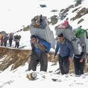 واردات کولبری به ۳۹۶ میلیون دلار رسید؛ تجارت مرزی در مسیر تازه