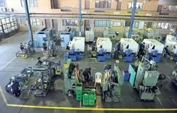 وزارت اقتصاد، حامی تولید و صادرات گیاهان دارویی؛ رونق کسب‌وکارهای خرد با بسته‌های حمایتی