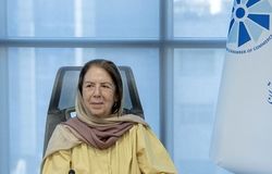 ضرورت حضور بخش خصوصی در شورای ملی تامین مالی