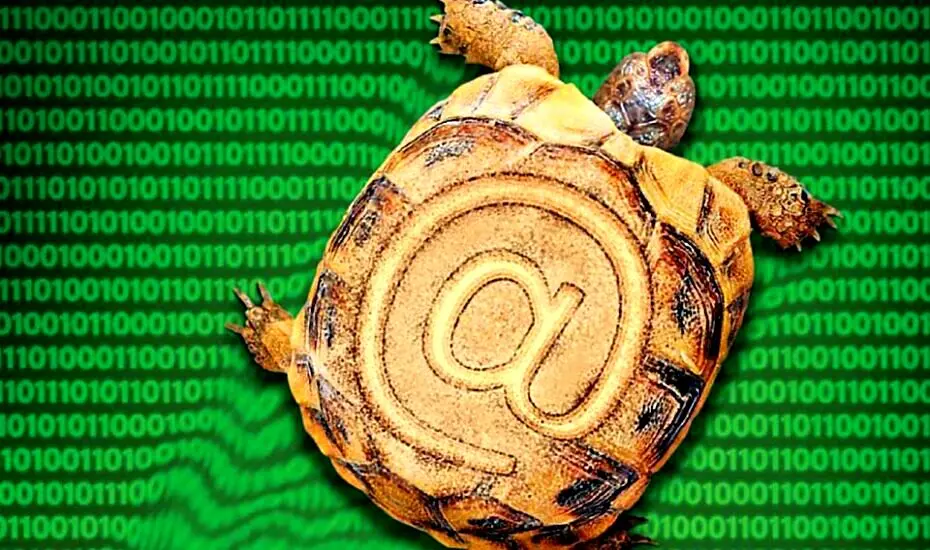 چرا اینترنت ایران هنوز لاک‌پشتی است؟/ معمای بی‌پایان اپراتورها