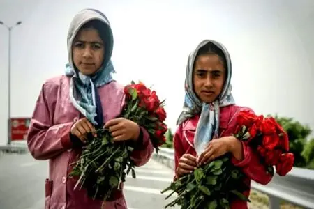 هر کودک زیر ۱۸ سالِ در چرخه کار «کودک کار» است/ عادی‌شدن این پدیده، زنگ خطر اجتماعی