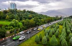 مشکلات انجمن کارفرمایی شرکت‌های فضای سبز با سازمان مالیاتی و تامین اجتماعی/نبود نیروی کار متخصص، مانع توسعه فضای سبز تهران