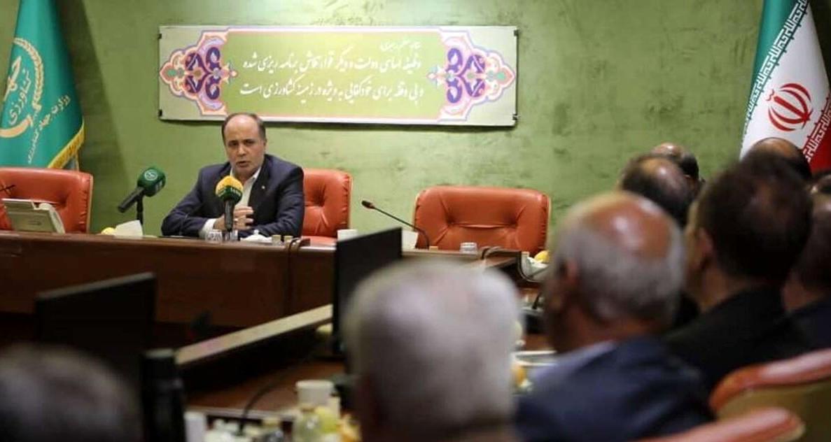 قیمت مصوب مرغ و تخممرغ تا پایان سال ثابت میماند
