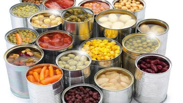  توسعه صنایع تبدیلی کشاورزی به ۱۷۰ همت منابع مالی نیاز دارد