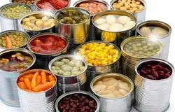  توسعه صنایع تبدیلی کشاورزی به ۱۷۰ همت منابع مالی نیاز دارد