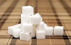 آزادسازی صادرات قند؛ نجات تولید یا زنگ خطر گرانی در بازار؟
