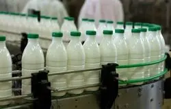 سهم ناچیز لبنیات ایرانی از بازار ۶۵۰ میلیارد دلاری جهان/چرا از رقابت جهانی جا مانده‌ایم؟