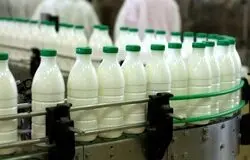سهم ناچیز لبنیات ایرانی از بازار ۶۵۰ میلیارد دلاری جهان/چرا از رقابت جهانی جا مانده‌ایم؟