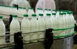 سهم ناچیز لبنیات ایرانی از بازار ۶۵۰ میلیارد دلاری جهان/چرا از رقابت جهانی جا مانده‌ایم؟