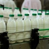 سهم ناچیز لبنیات ایرانی از بازار ۶۵۰ میلیارد دلاری جهان/چرا از رقابت جهانی جا مانده‌ایم؟