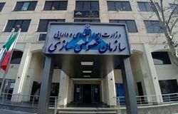 گزارش ۲۴ سال خصوصی‌سازی؛ سهام عدالت فقط ۳ درصد از کل واگذاری‌ها