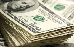 مهلت بازگشت ارز صادراتی یک ماه تمدید شد؛ تغییر تاریخ اعمال ضوابط کارت بازرگانی