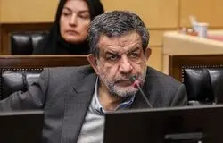 ضعف عملکرد وزارت صمت در اجرای قانون واردات خودرو