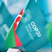 سازمان بین المللی کار در COP29: ایجاد اقتصاد سبز نباید به کاهش فرصت‌های شغلی بینجامد 