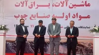 کاهش ۴۰ تا ۵۰ درصدی حضور در نمایشگاه صنایع چوب؛ تولید زیر فشار واردات