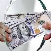 چرا دلار با هر اصلاح دوباره صعودی می‌شود؟ روایت یک کارشناس از بازار ارز