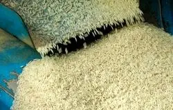 بازار برنج ایرانی در ثبات نسبی؛ کشاورزان عرضه را مدیریت می‌کنند