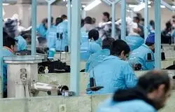 تحلیل نوزدهمین گزارش سیاستی وزارت کار/چالش‌های یکپارچه‌سازی و اطلاعات در بازار کار ایران