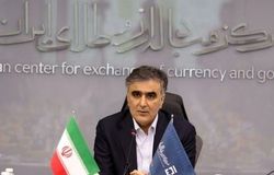 عرضه ارز هلدینگ‌های پتروشیمی به بازار ارز تجاری از هفته آینده/تامین تمامی نیازهای رسمی در بازار ارز تجاری