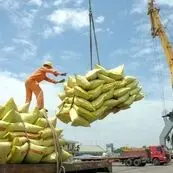 طرح واردات و انبارداری برنج؛ حمایت از تولید یا فشار بیشتر بر مصرف‌کننده؟