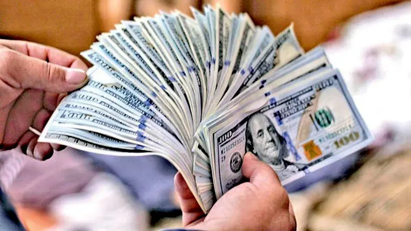 بانک مرکزی اسامی دریافت‌کنندگان ارز ترجیحی ۱۴۰۴ را منتشر کرد