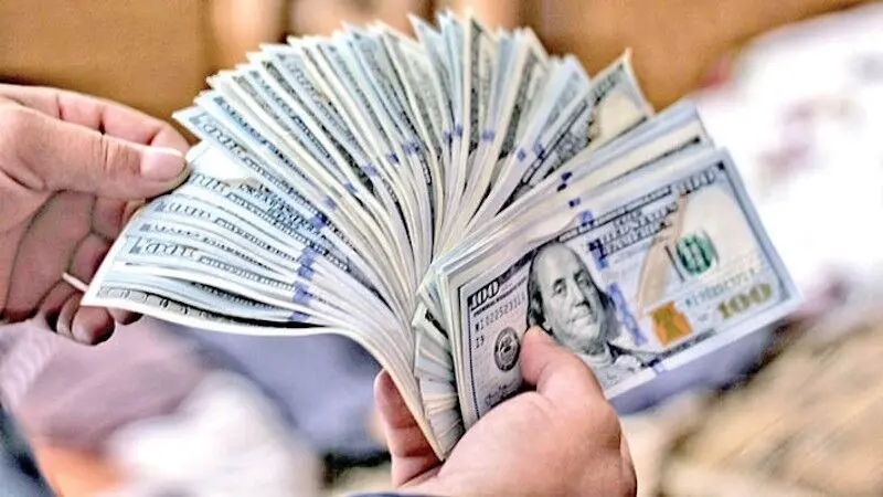 بانک مرکزی اسامی دریافت‌کنندگان ارز ترجیحی ۱۴۰۴ را منتشر کرد