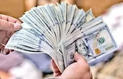 بانک مرکزی اسامی دریافت‌کنندگان ارز ترجیحی ۱۴۰۴ را منتشر کرد