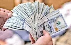 بانک مرکزی اسامی دریافت‌کنندگان ارز ترجیحی ۱۴۰۴ را منتشر کرد