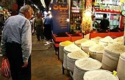 بخش تعاون؛ ستون اصلی امنیت غذایی و پایداری اقتصادی کشور