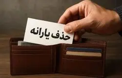 حذف یارانه سه دهک بالا در دوراهی ۱۴۰۴ و ۱۴۰۶ کارپوشه ایرانیان مانع اجرای قانون؟